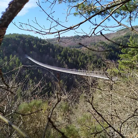 La Passerelle * Saint-Vincent (Haute-Loire)