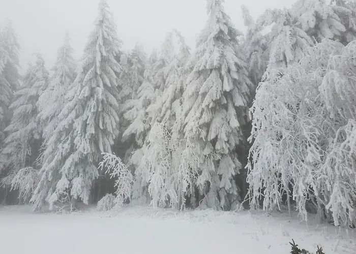 La Passerelle * Saint-Vincent (Haute-Loire)