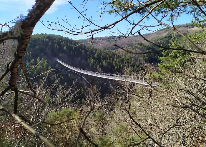La Passerelle * Saint-Vincent (Haute-Loire)